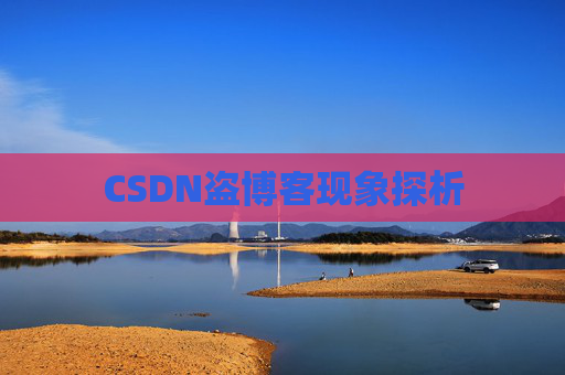 CSDN盗博客现象探析 CSDN盗博客现象探析